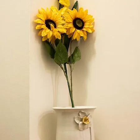 Downtown Apartamento